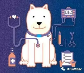 微信截图_20170223202339.png 微信截图_20170223202339.png