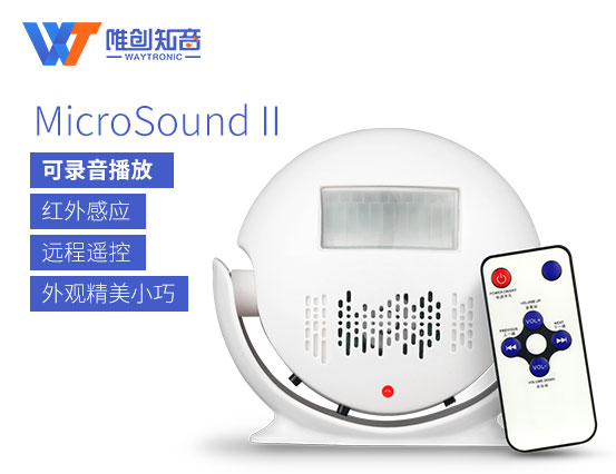 MicroSound