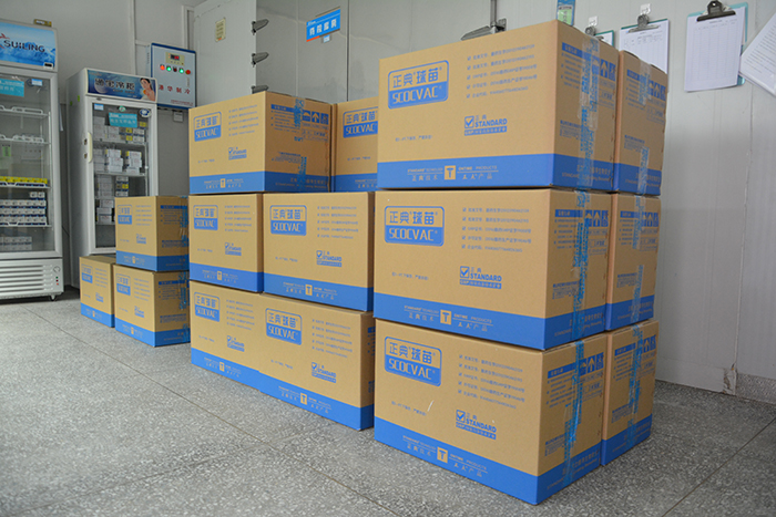 The export business of SCOCVAC® has a flying start