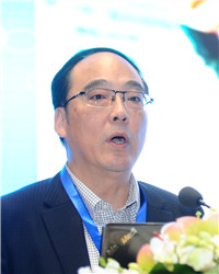 杨小溪
