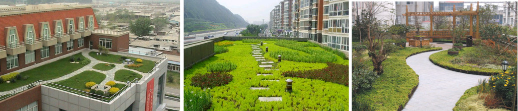 北京市“十二五”期间屋顶绿化项目