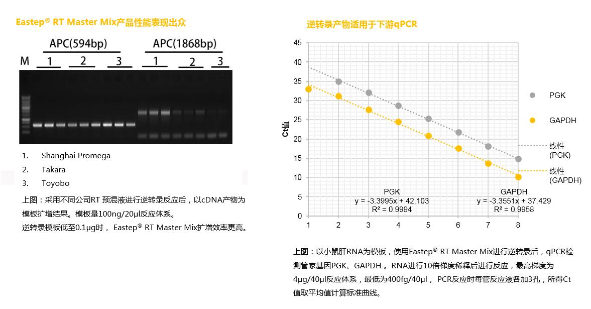 Eastep® RT Master Mix & qPCR Master Mix