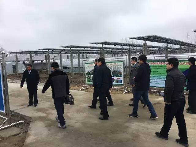 蚌埠市委一行，视察中来六产生态示范园 