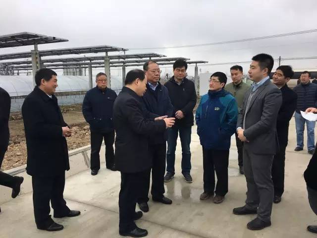 蚌埠市委一行,视察中来六产生态示范园 蚌埠市委一行,视察中来六产生态示范园