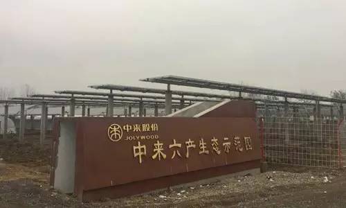 蚌埠市委一行,视察中来六产生态示范园 蚌埠市委一行,视察中来六产生态示范园