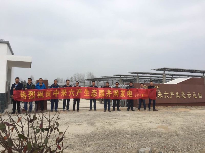 中民来六产农光互补项目成功并网