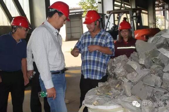 中钢集团深圳有限公司副总经理王建国、嘉能可（北京）商业有限公司一行到访广西中金公司