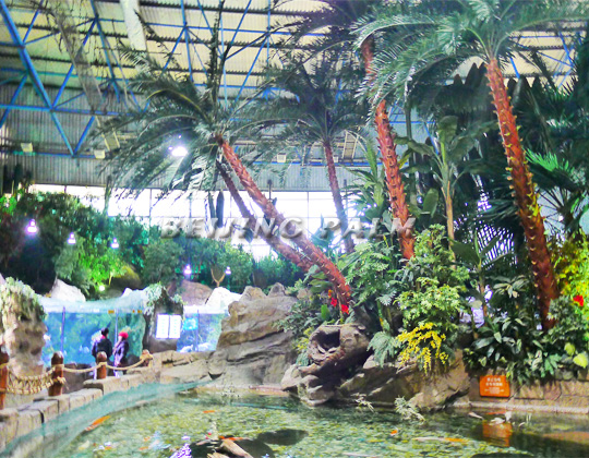 热烈祝贺北京海洋馆热带雨林装饰景观工程验收完工