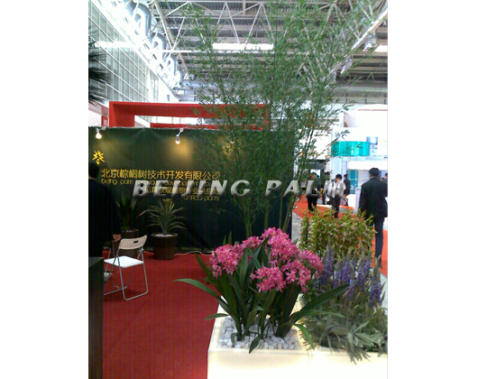 北京棕榈树2011年展会——盛情邀请您参观
