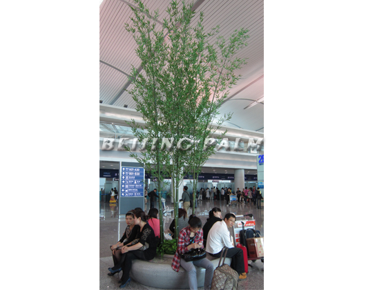  Plant decoration project in Chongqing Jiangbei Airport