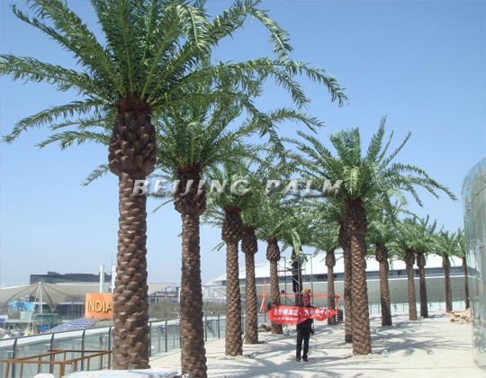 【Shanghai Expo】Saudi Pavilion----some pictures of data palm project.