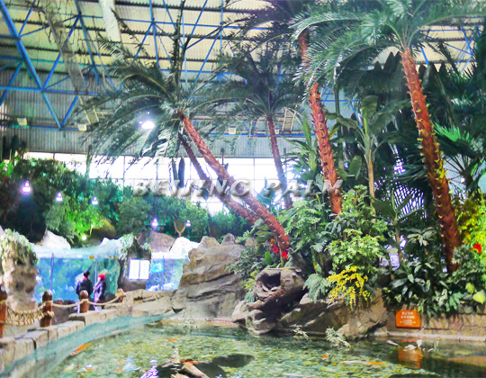 Congratulations! The decoration project of the rainforest in Beijing Aquarium completed