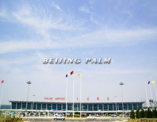 Christmas tree artificial bamboo and stainless steel planter in Dalian  Airport welcome 2012