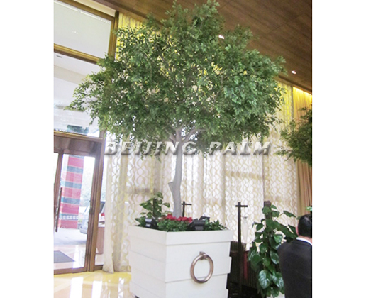 Congratulation！The artificial banyan tree of Chengdu Jinjiang Hotel finished before Christmas day.