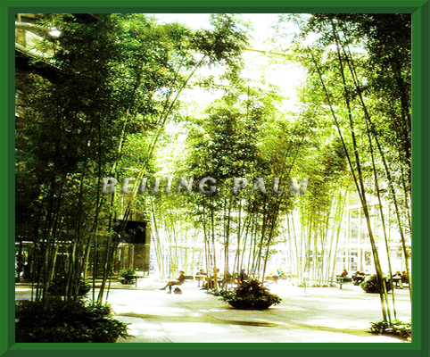 artificial bamboo