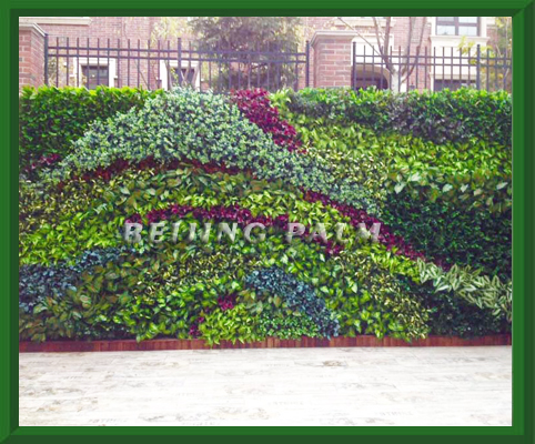 artificial outdoor plant wall