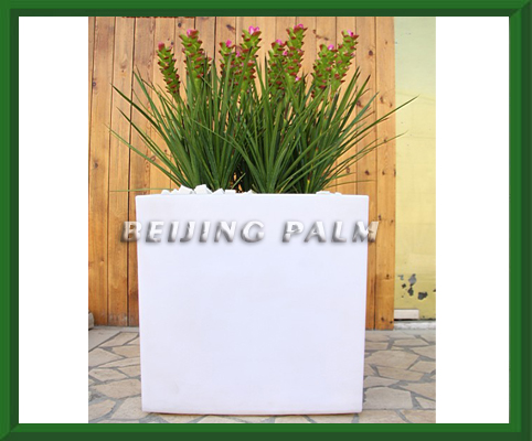 ss-60planter