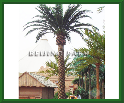 artificial Middle east peach palm（single straight）