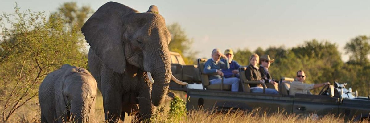 【南非10天】野趣之旅：享美景美酒，寻野生动物