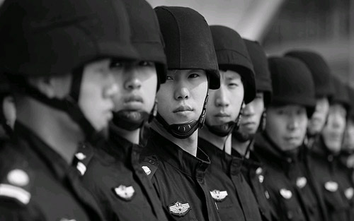 中安金獅公司的基地化功能