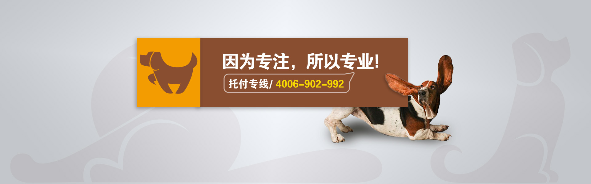 寵物托運出入境服務