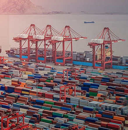 名家谈“金砖”：看中国国际货运公司企业如何点亮世界经济