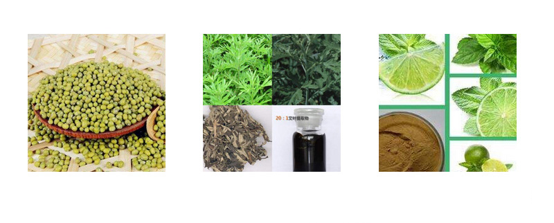 Xingchun green bean oil control cleanser