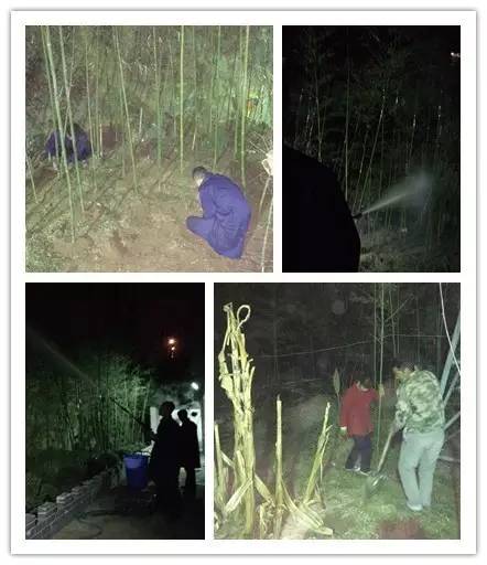 一片竹林、一句承诺、一个梦想! 一片竹林、一句承诺、一个梦想!