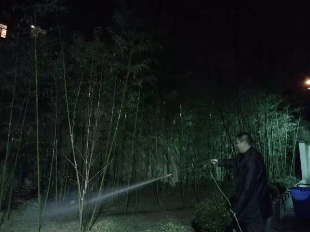 一片竹林、一句承诺、一个梦想! 一片竹林、一句承诺、一个梦想!
