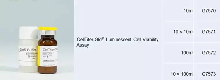 CellTiter-Glo发光法细胞活力检测试剂盒（CTG）