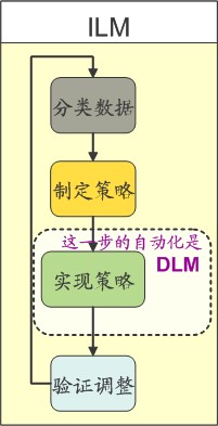 DMF软件介绍