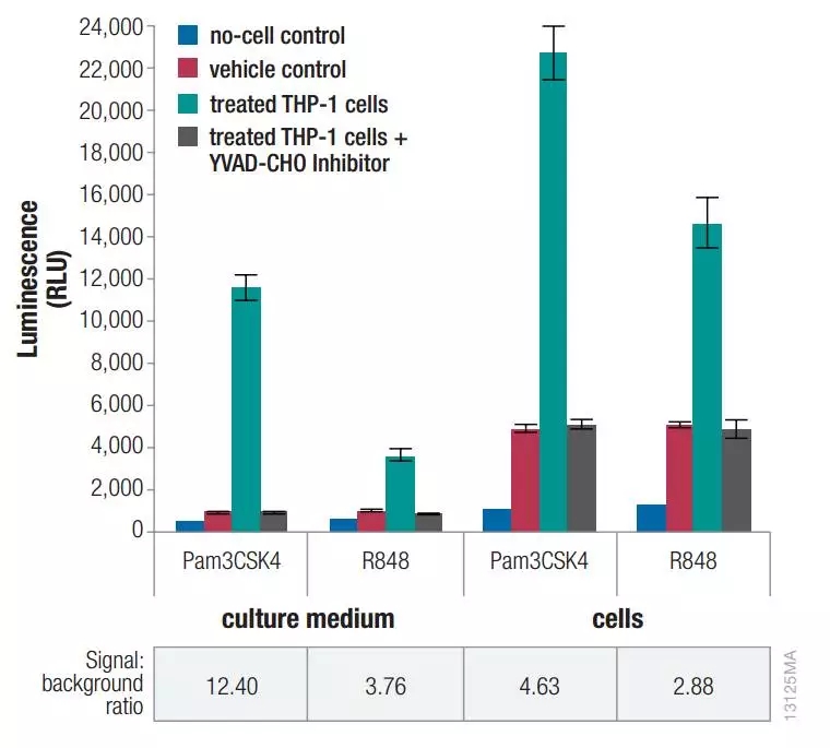 Caspase-Glo® 1 Inflammasome Assay