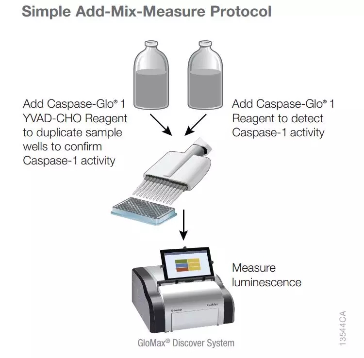 Caspase-Glo® 1 Inflammasome Assay