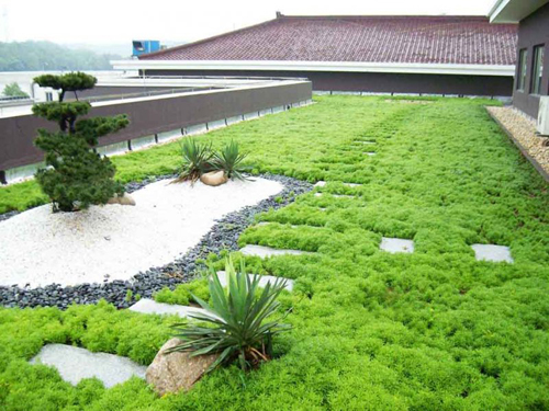 绿化种植屋面排水系统技术要求！