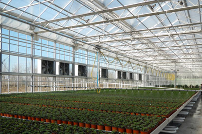 FLUON ETFE  FILM