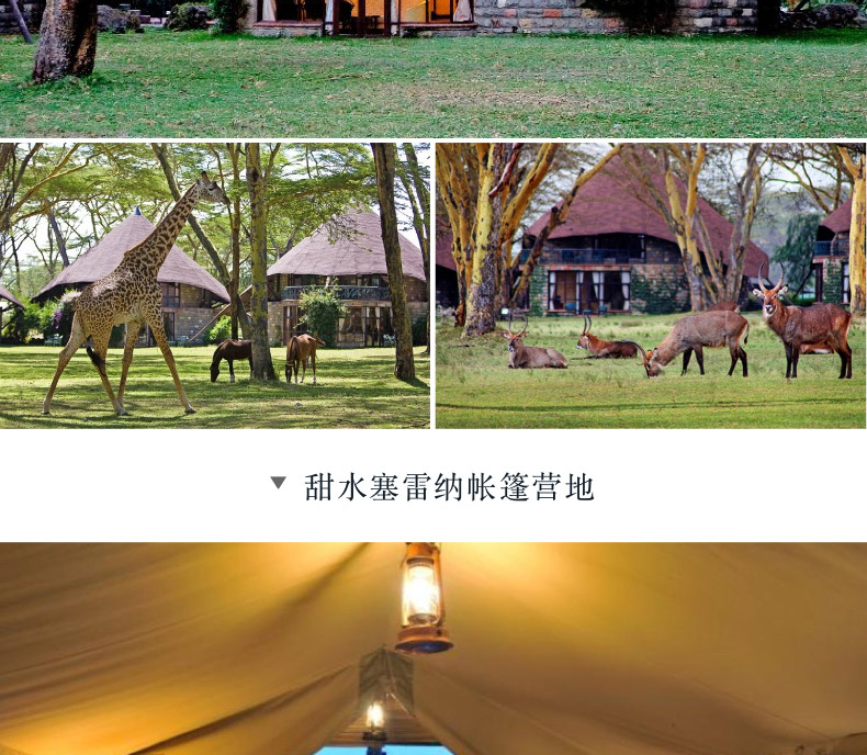 【肯尼亚9天7晚】甜水保护区+阿布戴尔+纳瓦沙+马赛马拉+草原热气球之旅