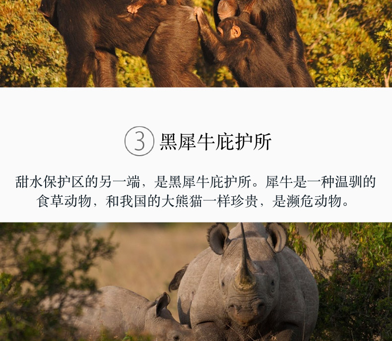 【肯尼亚9天7晚】甜水保护区+阿布戴尔+纳瓦沙+马赛马拉+草原热气球之旅