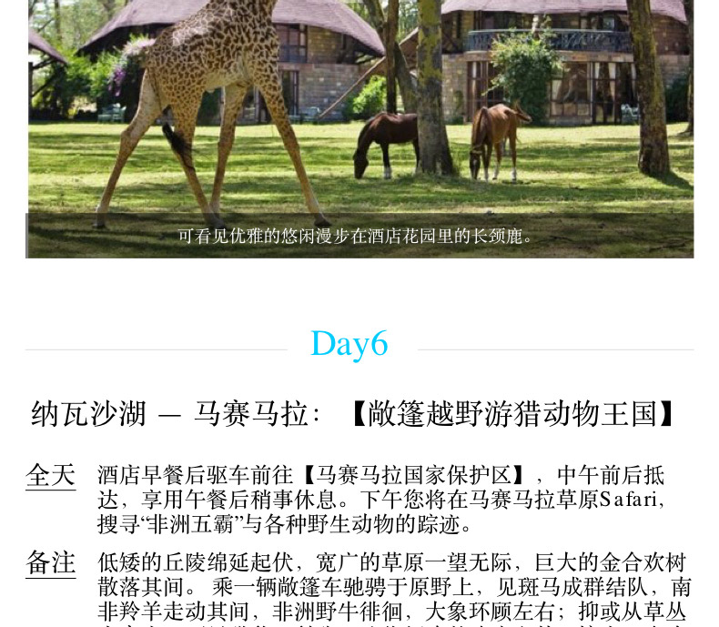 【肯尼亚9天7晚】甜水保护区+阿布戴尔+纳瓦沙+马赛马拉+草原热气球之旅