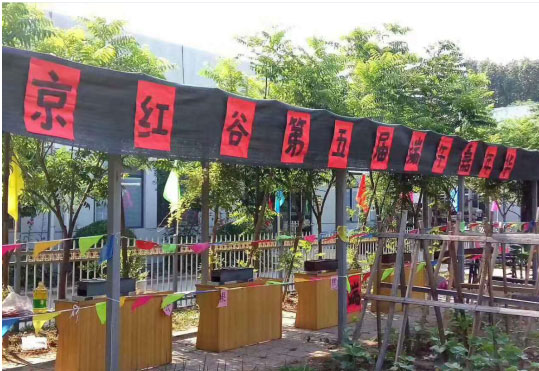 粽情端午 红谷献礼 粽情端午 红谷献礼