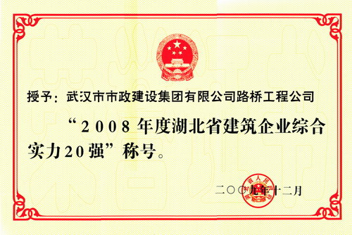 2008年度湖北省建筑企业综合实力20强