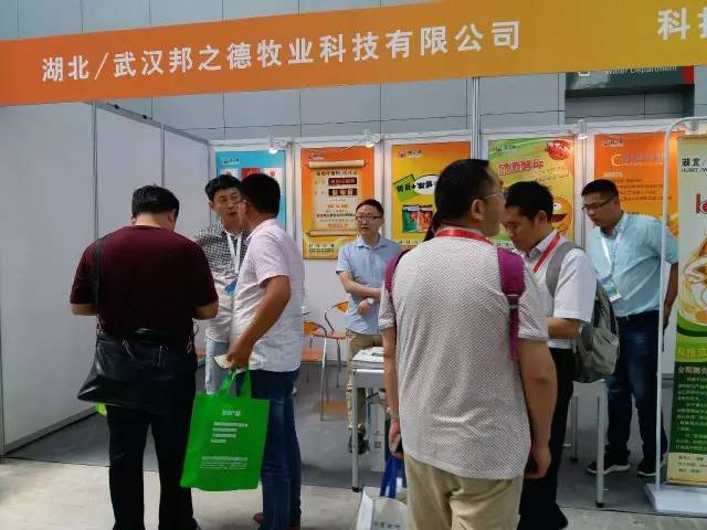 祝贺我公司2017年青岛畜牧博览会圆满成功 祝贺我公司2017年青岛畜牧博览会圆满成功