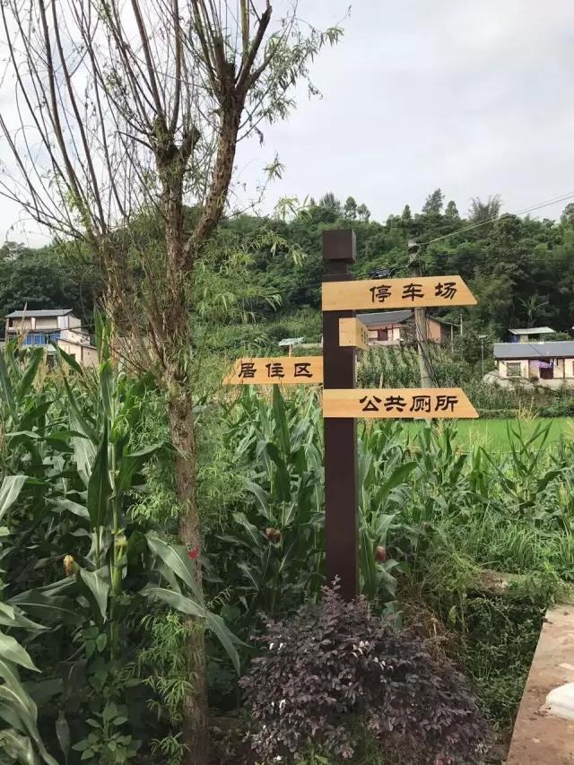 笨鸟项目落地丨为洛碛镇上坝村杨柳冲的新农村建设添砖加瓦