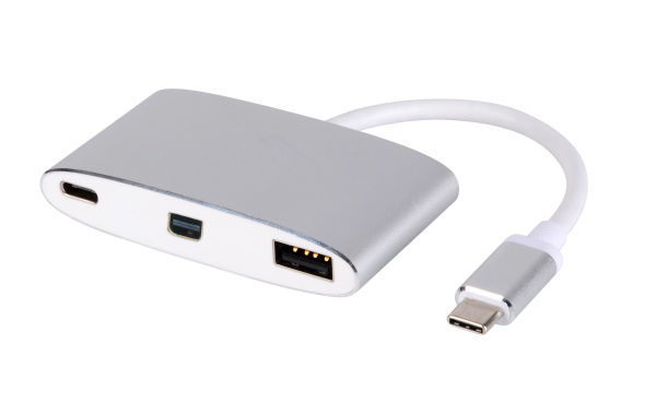 Type C M TO Mini Displayport Female+USB2.0+PD Adapter Cable