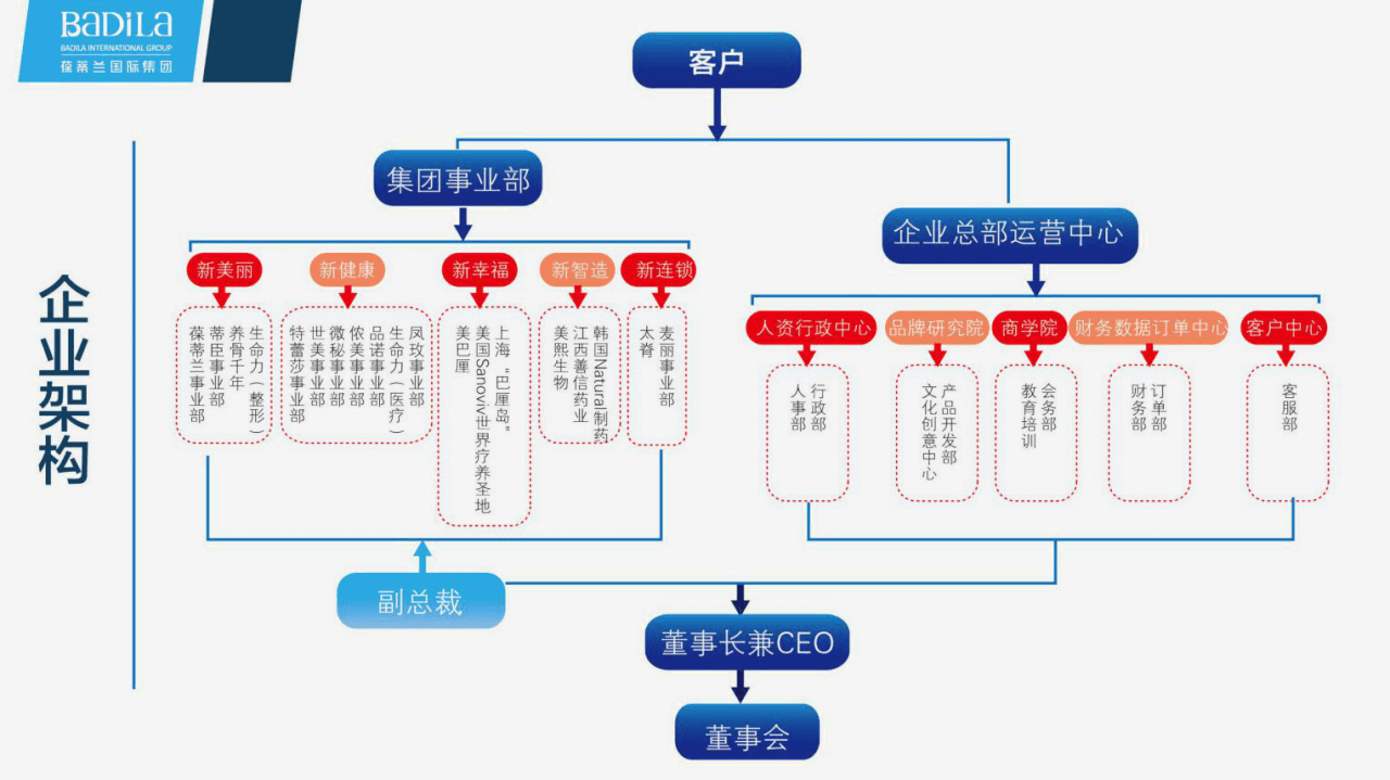 公司治理体制