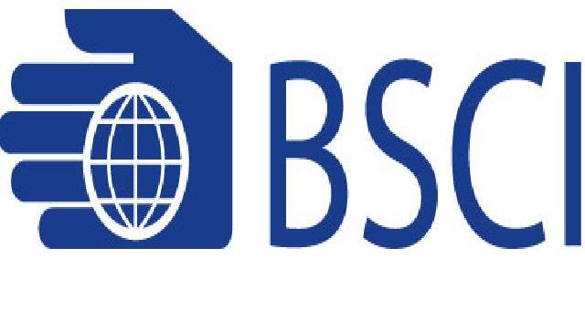 社会责任类体系服务：BSCI