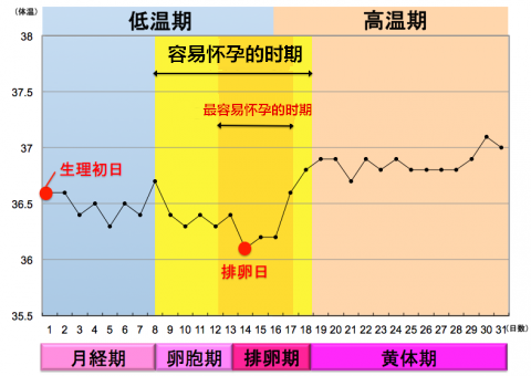 日本女性备孕时做的第一件事竟然是...