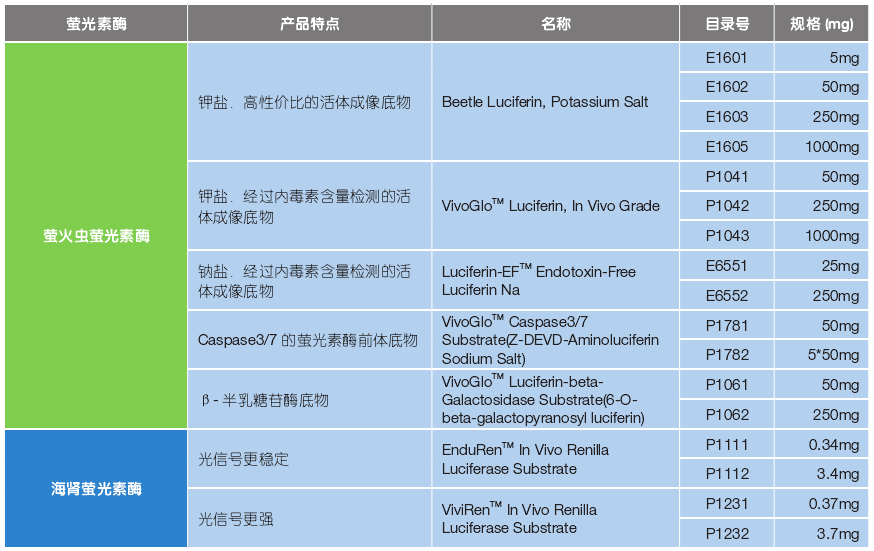 小动物活体成像