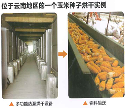 农产品烘干篇:种子 农产品烘干篇:种子