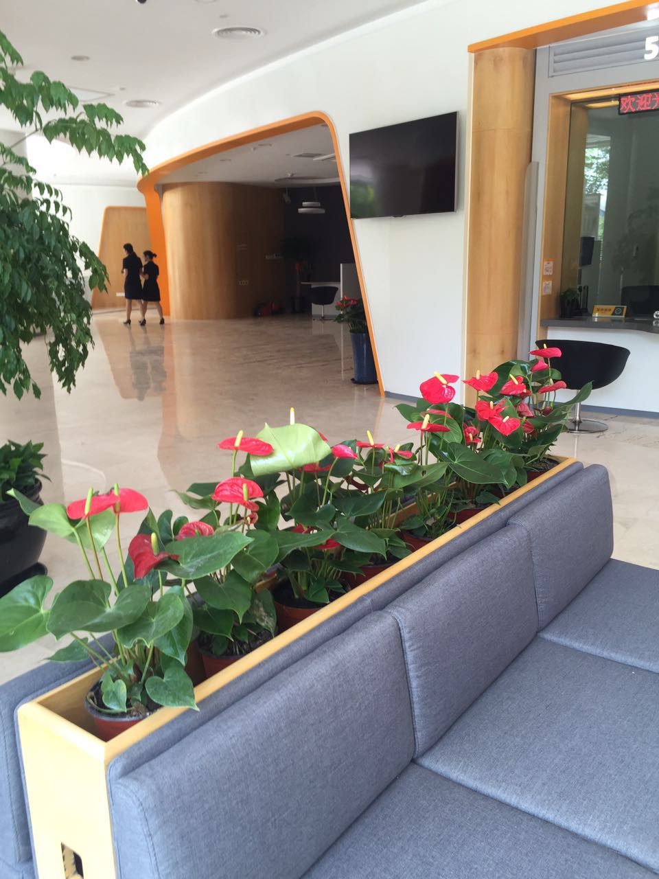 宁波银行花卉与植物摆设