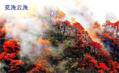 光霧山——天下紅葉第一山